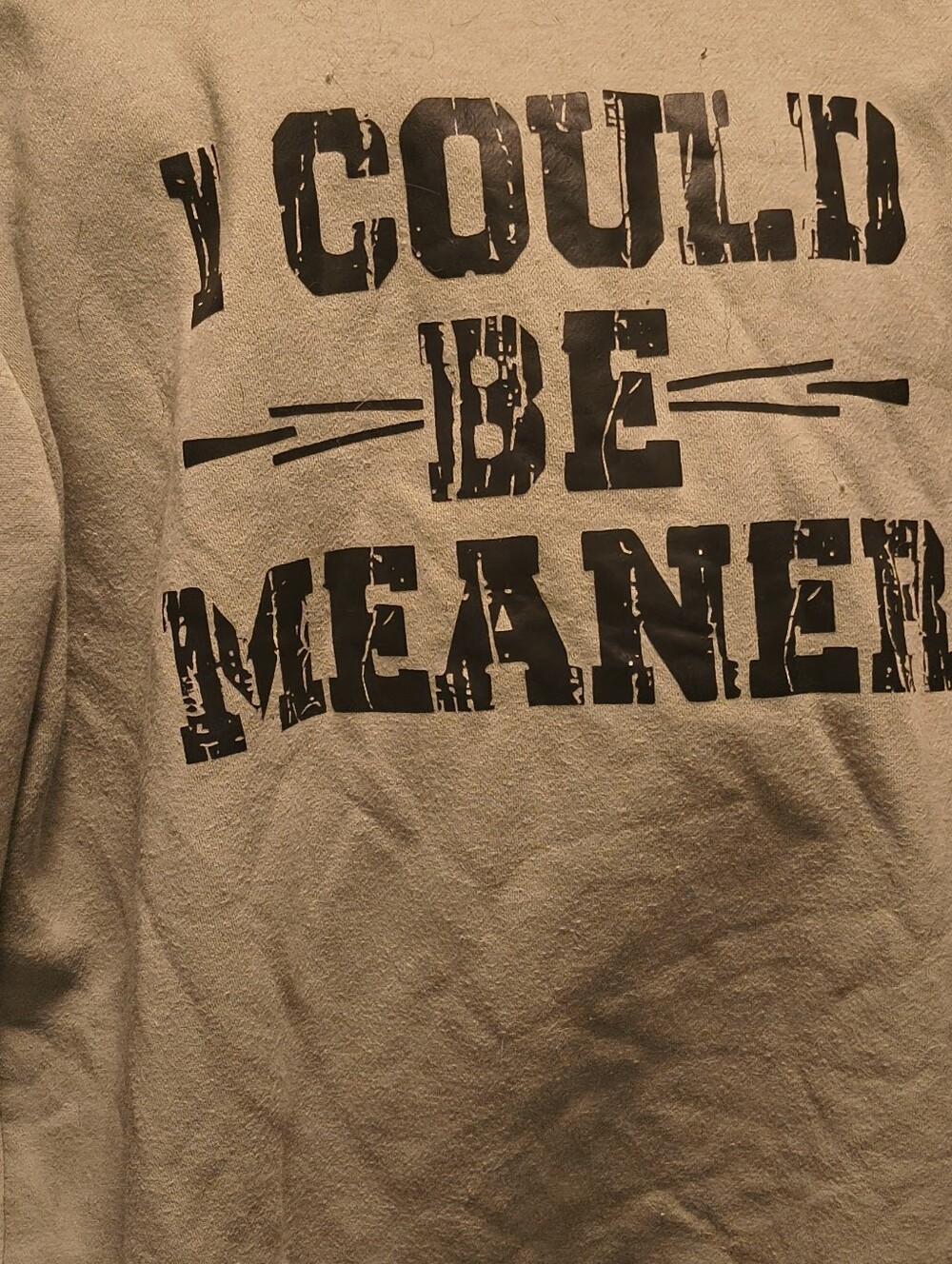 Graphic Tee "I Could'd Be Meaner" in Beige with Black Print